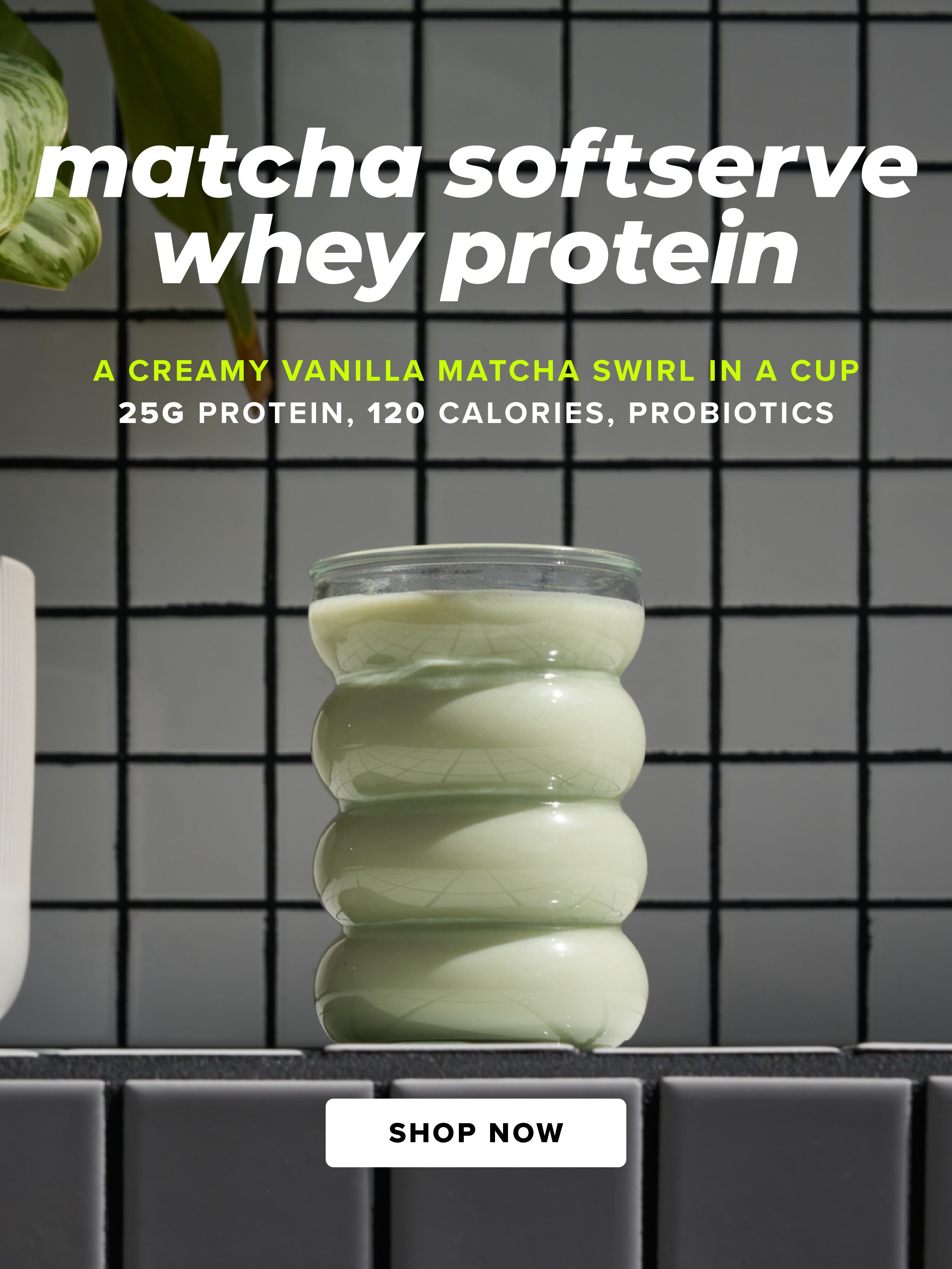 MOMO | Delicious Probiotic-Infused Protein